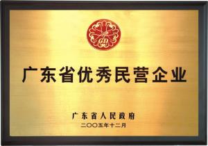 廣東省優(yōu)秀民營企業(yè)